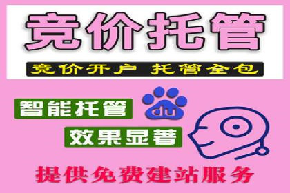 百度推广案例：成功打造行业领军品牌
